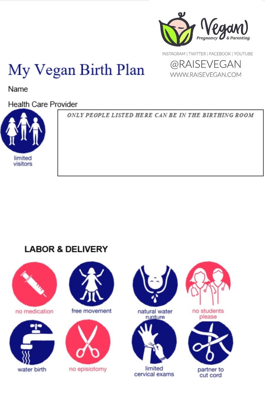 the ultimate birth plan template in Los Angeles, CA the ultimate birth plan template in Los Angeles, CA